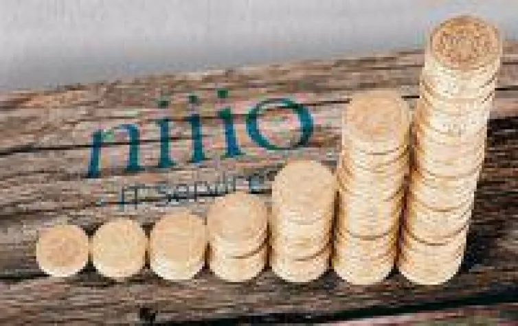 Bild: niiio IT Services GmbH, Tochterunternehmen der niiio AG, schließt 2016 mit Gewinn ab