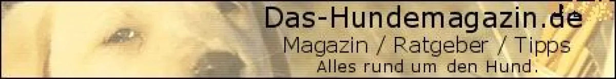 http://www.das-hundemagazin.de