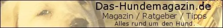 Bild: Neuer Internetauftritt von das-Hundemagazin