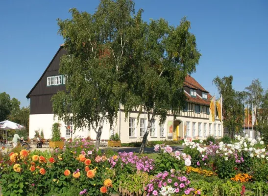 Bild: MDR SOMMERTOUR gastiert im August in Wernigerode-Vorbereitungen laufen auf Hochtouren
