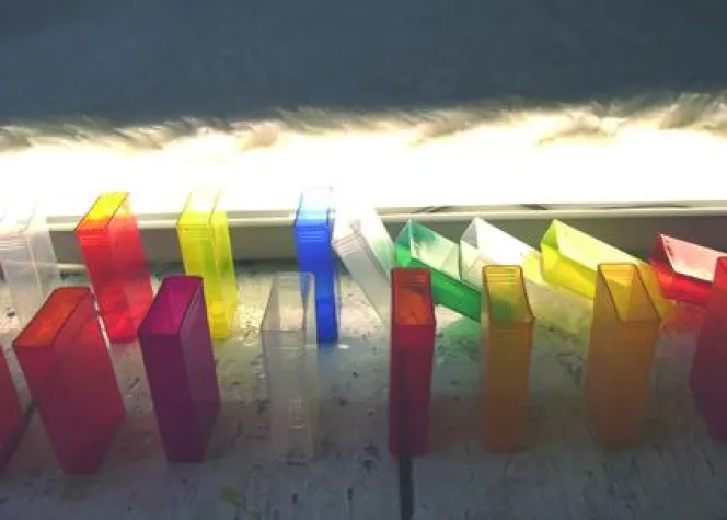 Bild: Ausstellungseröffnung mit Live-Musik im Hammer Berlin