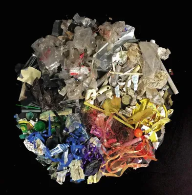 Bild: Von der Weser bis zur Nordsee: PLAWES erforscht Mikroplastik-Kontaminationen in Ökosystemen