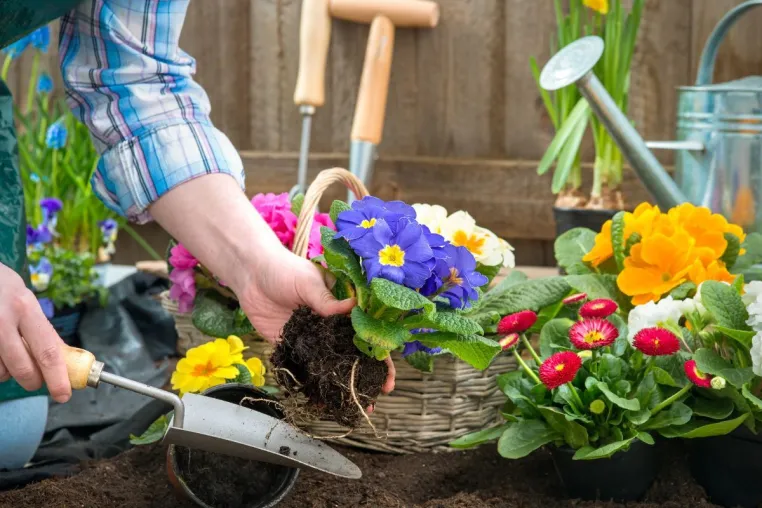 Bild: Maximilian Zieseniß: Mit Gartenarbeit vom Alltagsstress erholen