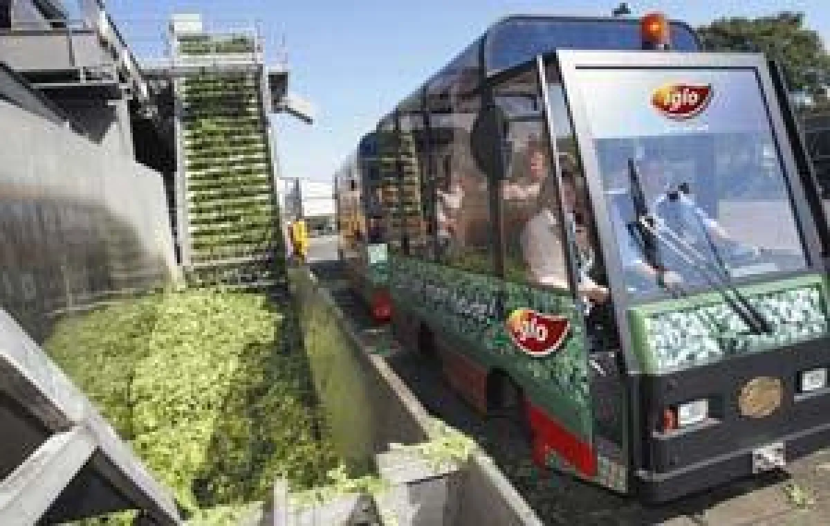 Foto: iglo - Werksbahn im Werk Reken