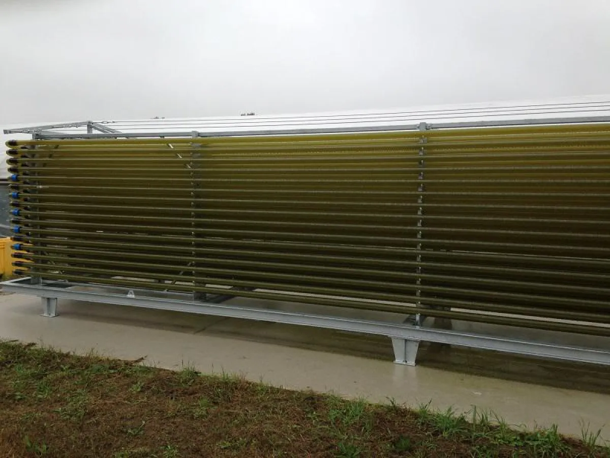 NAM Niedersächsische Algen Manufaktur GmbH