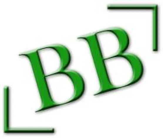 Bild: Berufliche Bildung am Computer