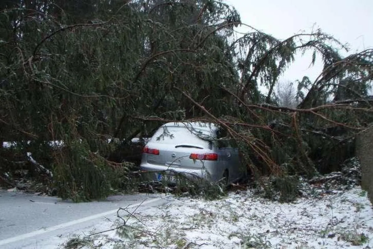 Wenn der Sturm zugeschlagen hat - was leistet die Kraftfahrzeugversicherung?