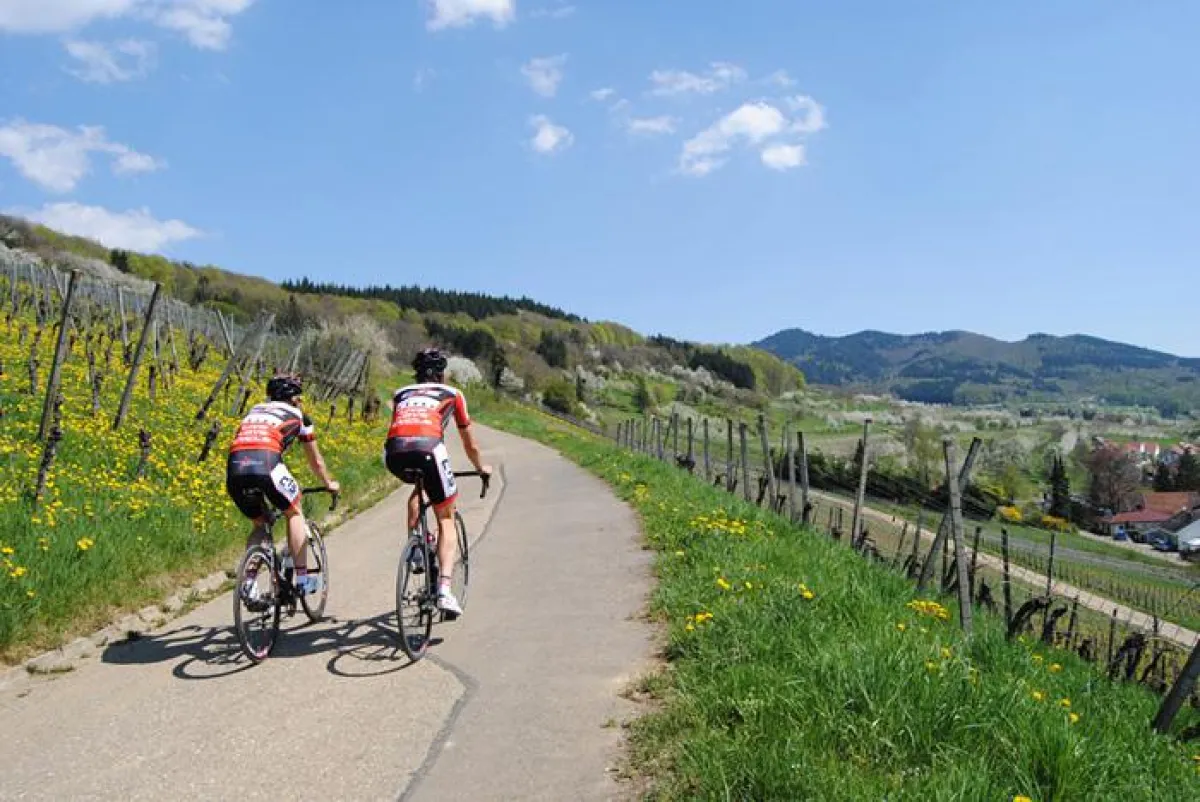 Badenweiler und das Markgräflerland bieten ideale Voraussetzungen für den Radsport / Bild CTS