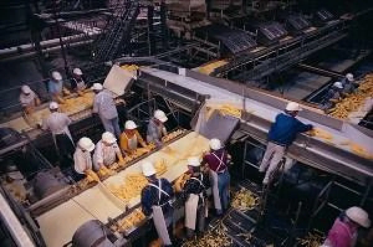 Ressourcenoptimierung durch effiziente Personaleinsatzplanung