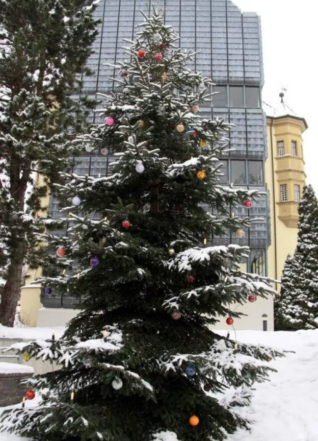 Bunte Christbaumkugeln schmücken den Baum vor dem Liebenauer Schloss