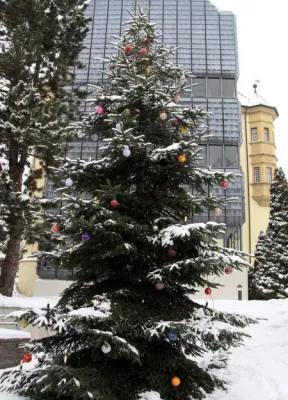 Bild: In Liebenau wird es weihnachtlich