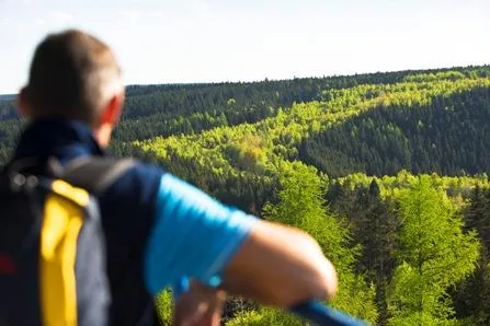 Bild: Das „Grüne Band“ - Juwel der Natur und Mahnmal der Geschichte