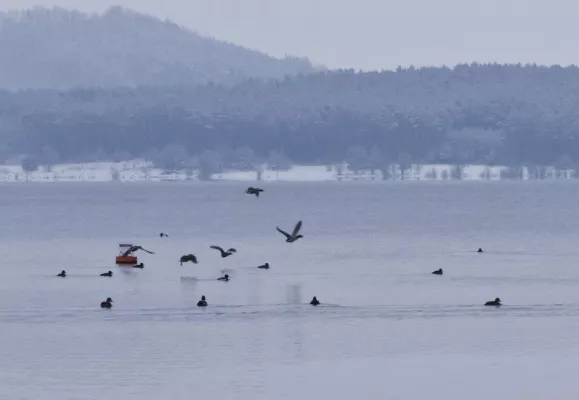 Bild: Mission Weltrekord am Brombachsee
