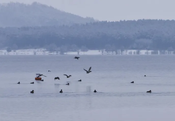 Bild: Mission Weltrekord am Brombachsee