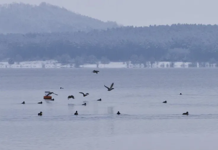 Bild: Mission Weltrekord am Brombachsee