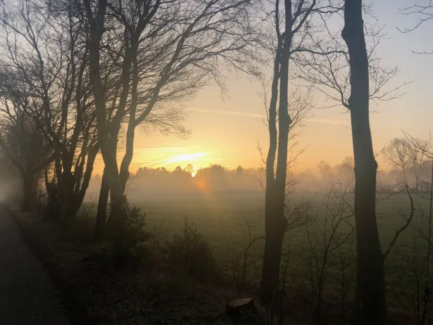 Tipps von der "Tippse" für angehende "Diktatoren" Bild: Tipps von der "Tippse" für angehende "Diktatoren"