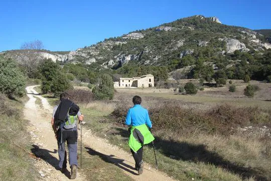 Wandern ohne Gepäck in der Provence – begleitet vom Gesang der Grillen Bild: Wandern ohne Gepäck in der Provence – begleitet vom Gesang der Grillen