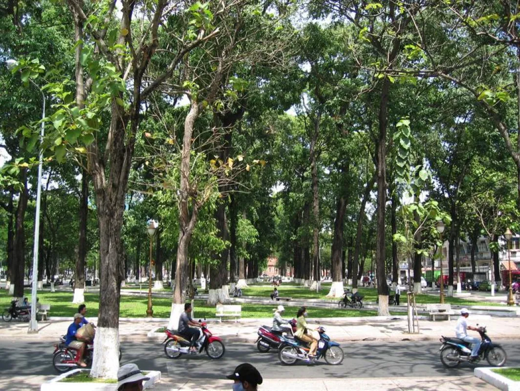 Für die Studie sind Proben von Baumkernen aus Metropolen weltweit wie hier in Vietnams Hauptstadt Hanoi genommen und analysiert worden. ((Foto: TUM))