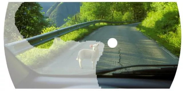 Bild: Die Gehirn-Aktivisten