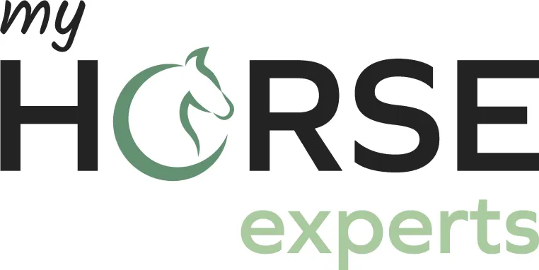Bild: Die Suche nach den richtigen Pferdeexperten: So findest du den passenden Reitunterricht und Pferdetherapeuten 
