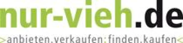 Bild: Handeln wie in alten Zeiten - nur-vieh.de – neues Online-Portal für den Nutztierhandel