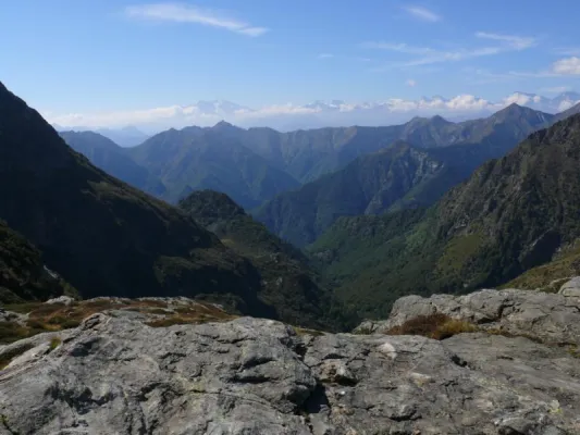 Bild: Italiens größtes Wildnisgebiet blickt auf ein positives Jahr zurück