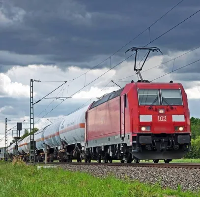 Bild: Das Kaninchen vor der Schlange