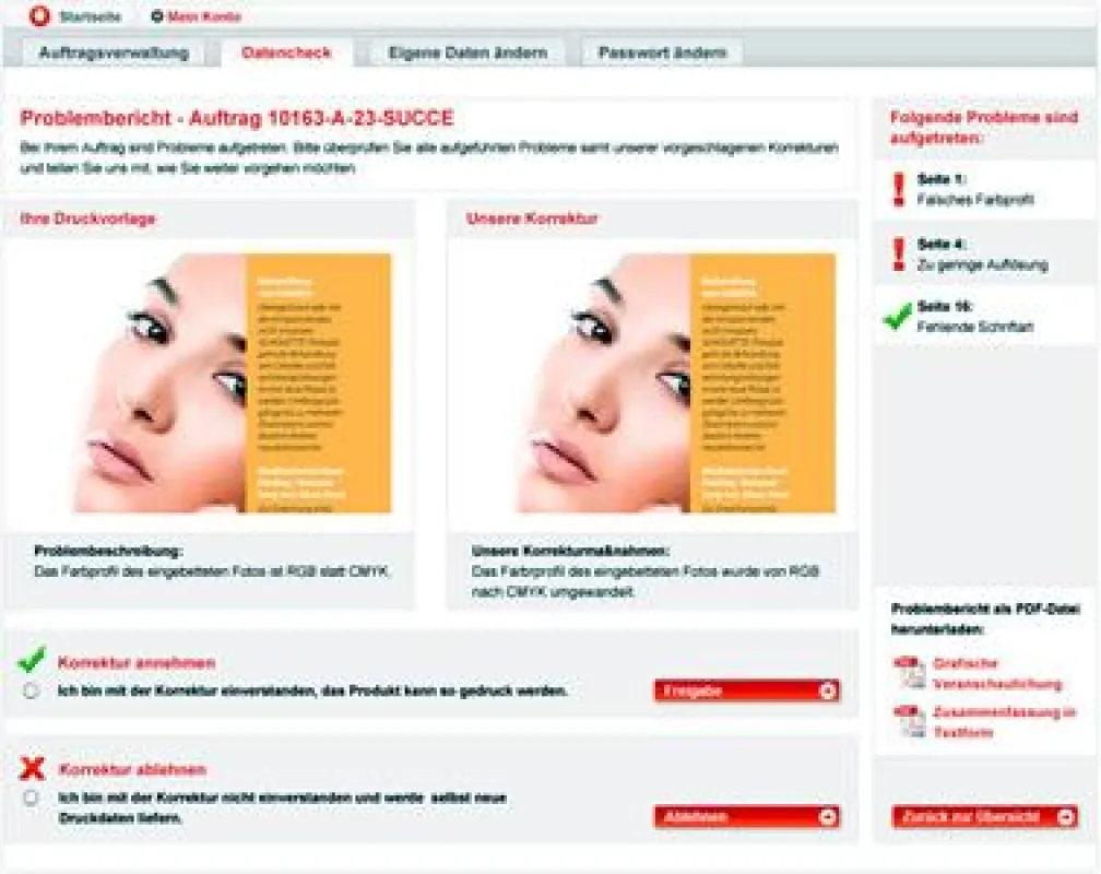 Der übersichtliche Problembericht von flyerpilot.de zeigt alle beim Datencheck entdeckten Fehler in den Druckdaten.