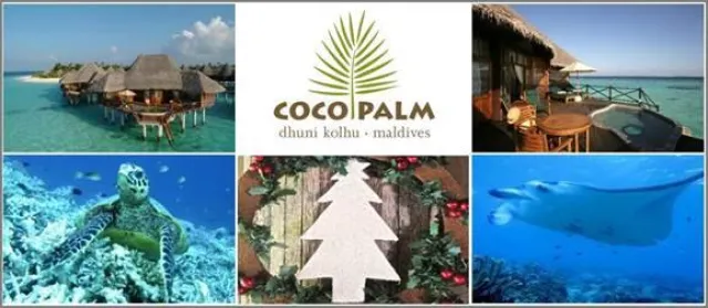Zero Waste Christmas - Umweltfreundliches Weihnachten auf Coco Palm Dhuni Kolhu Bild: Zero Waste Christmas - Umweltfreundliches Weihnachten auf Coco Palm Dhuni Kolhu