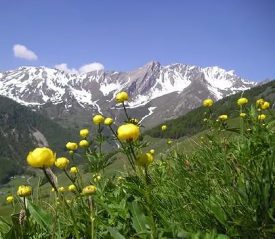 Bild: Mautfrei ins Aostatal