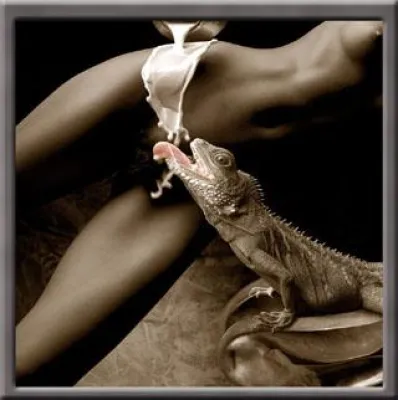 Bild: Phantasie ist für Viele kaum vorstellbar