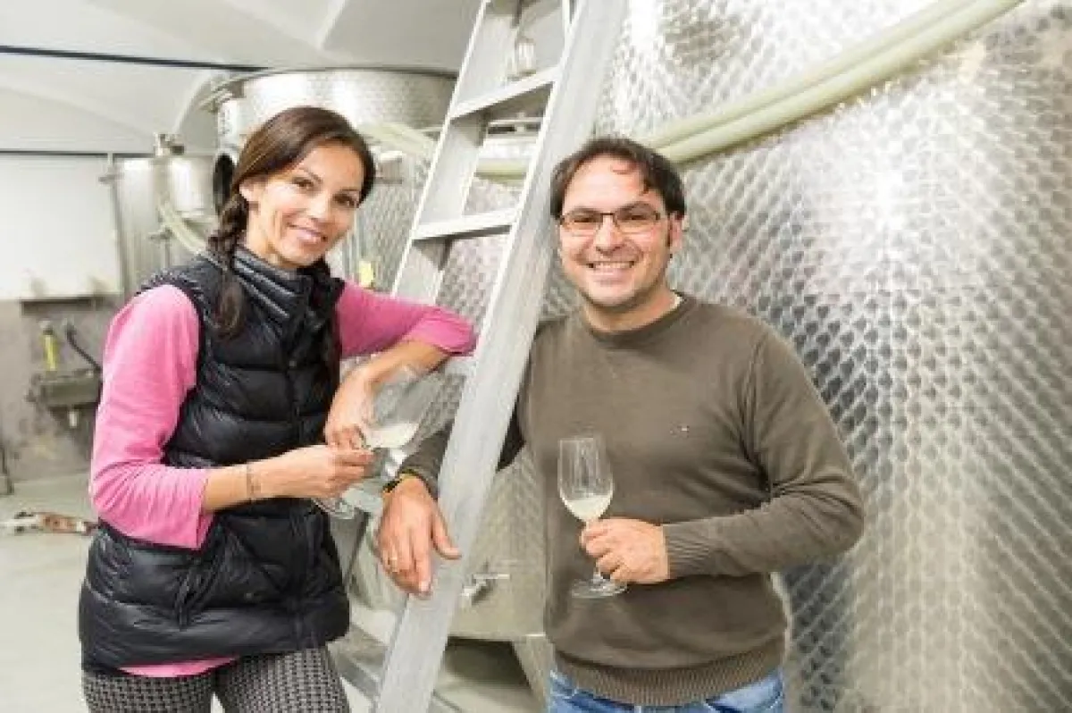 Weingut Potzingera