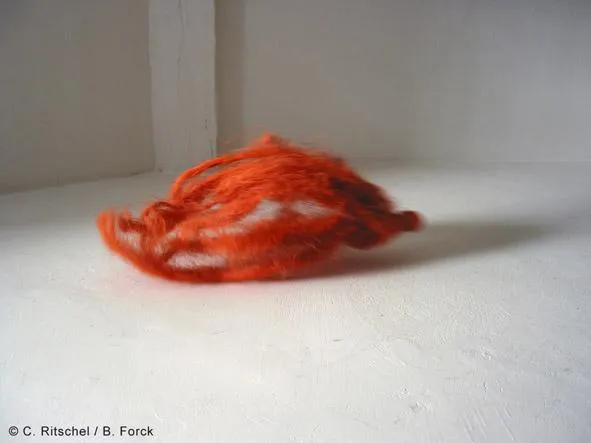 Bild: Neue Ausstellung in der Galerie Kulturtours - Birte Forck und Christoph Ritschel