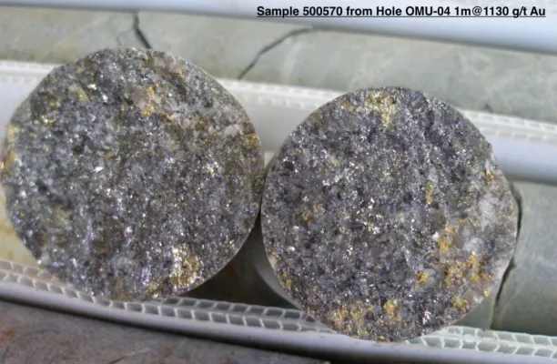 Bild: Omai Gold: Zweiter Bohrer beschleunigt Erkundung des Goldprojekts in Guyana