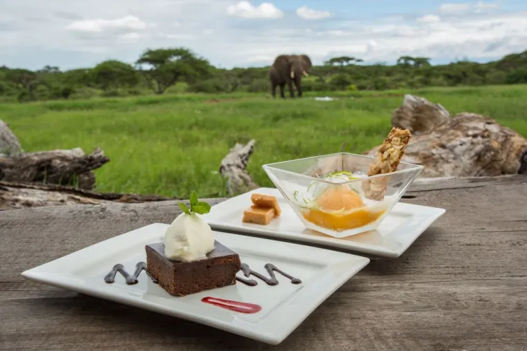 Vegane Safari - Great Plains verzaubert mit pflanzlicher Fünf-Sterne-Küche Bild: Vegane Safari - Great Plains verzaubert mit pflanzlicher Fünf-Sterne-Küche