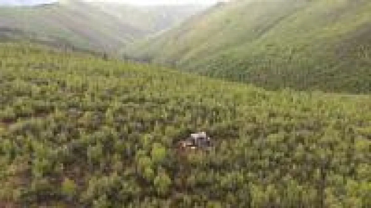 White Gold Corp, Kanada, Gold, Silber, Edelmetalle, Yukon, U.S. Gold, US Gold Corp. U.S. Gold Corp. Nevada