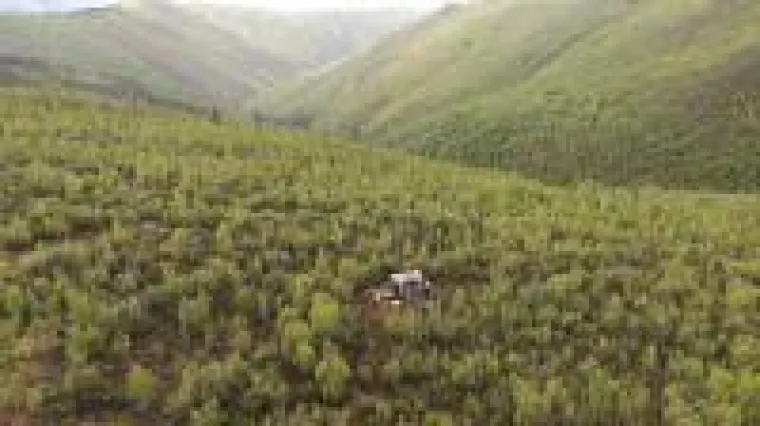 Gold als Anker Bild: Gold als Anker