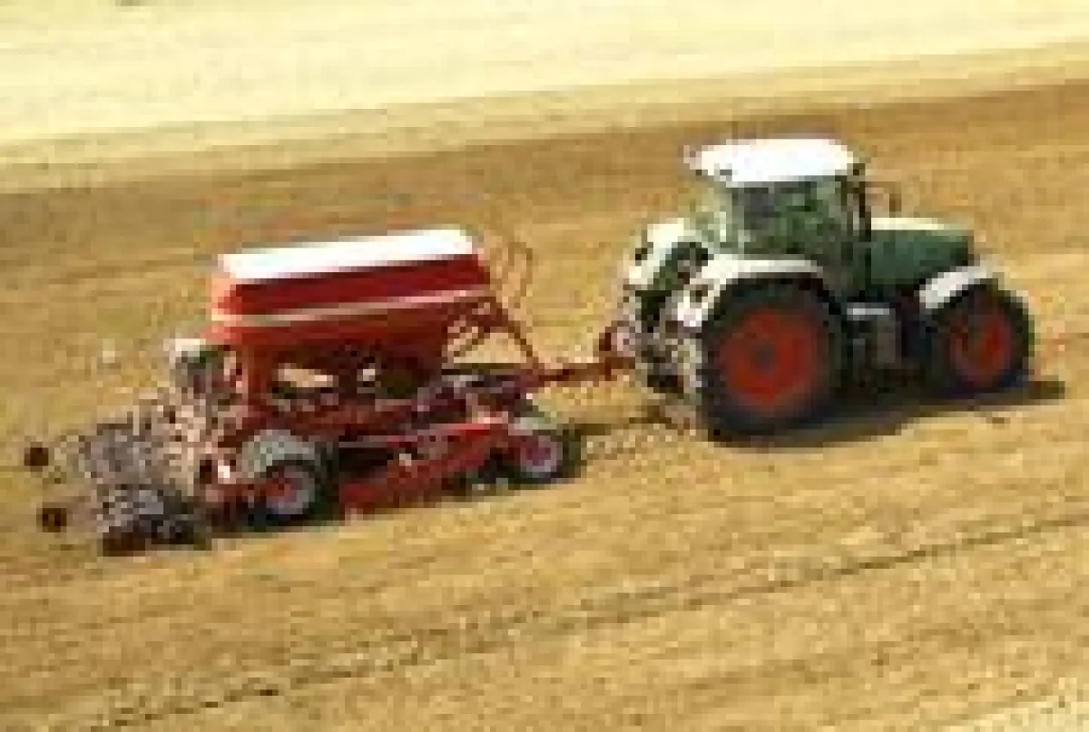 Der Pronto 3 DC von Horsch im Feldeinsatz.