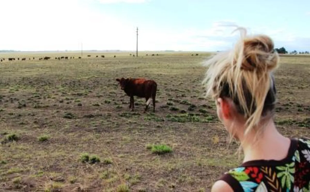 Martina Hirschmeier staunt über die öde Landschaft, in der argentinische Rinder leben.