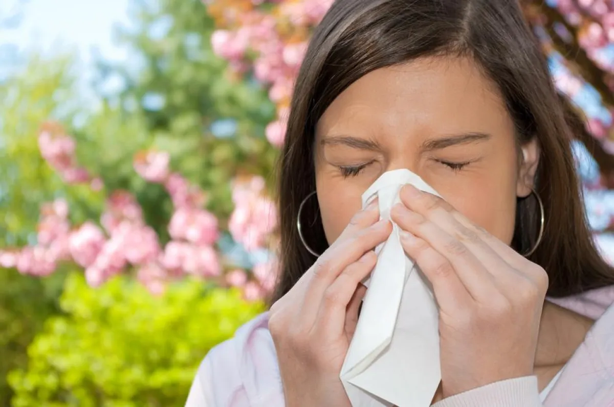 © mkrberlin-Fotolia.com  Wenn im Frühling die ersten Pollen fliegen, dann beginnt für Heuschnupfengeplagte oft eine monatelange Leidenszeit. Natürliche Hilfen wie eine Heilpilzkur haben sich gegen die