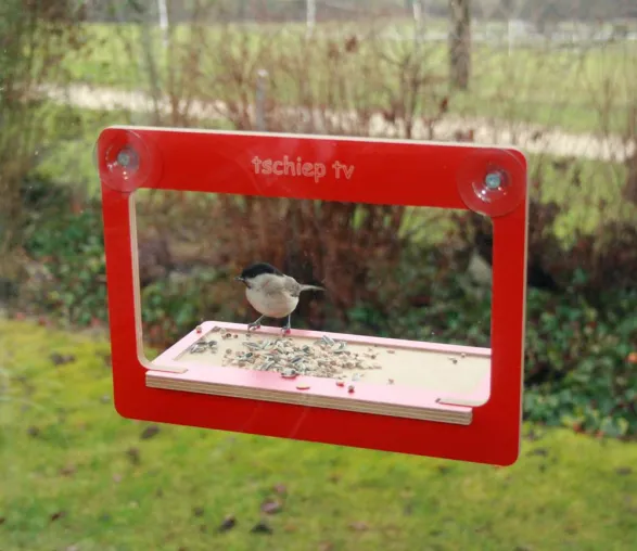 Tschiep tv – natürliches Fernsehen für Vogelbeobachter Bild: Tschiep tv – natürliches Fernsehen für Vogelbeobachter