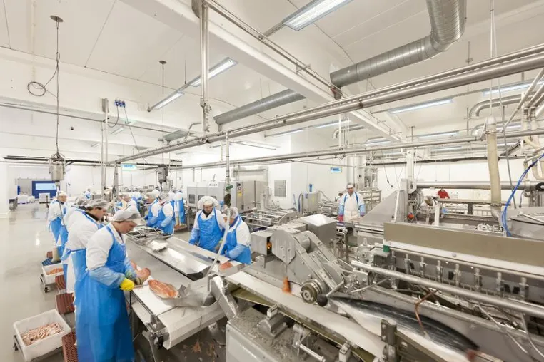 Glamox erhält IFS-Zertifizierung Bild: Glamox erhält IFS-Zertifizierung