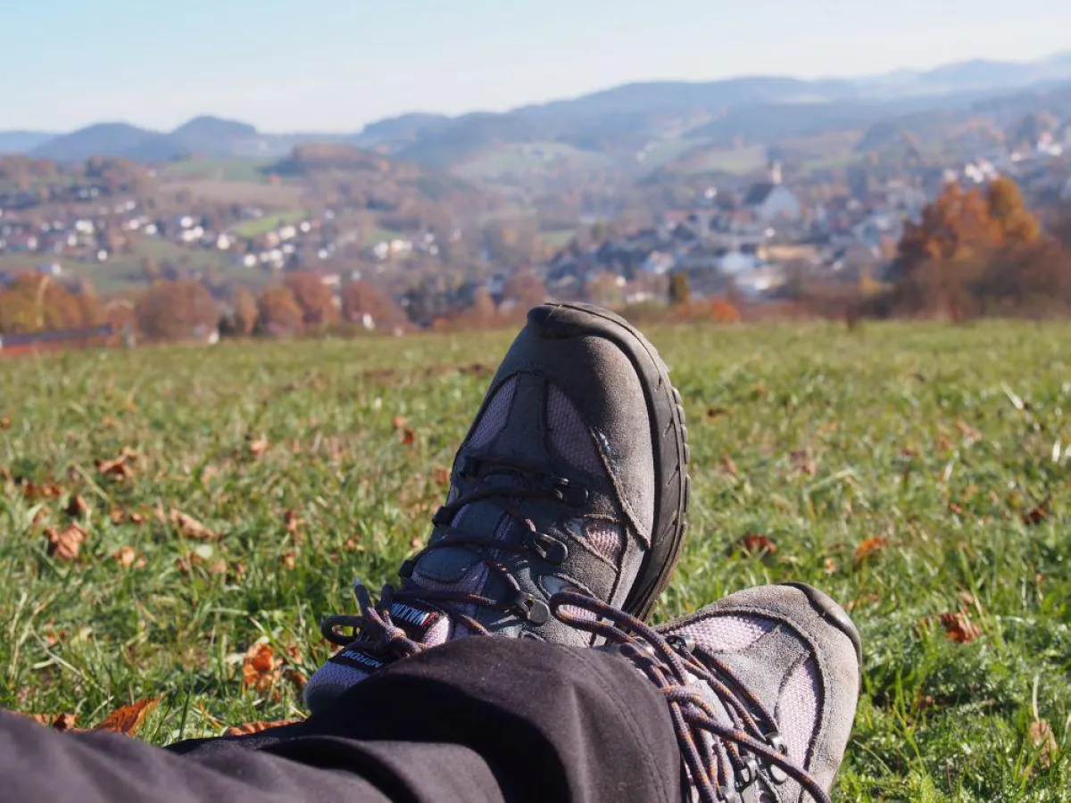Blick auf Viechtach vom