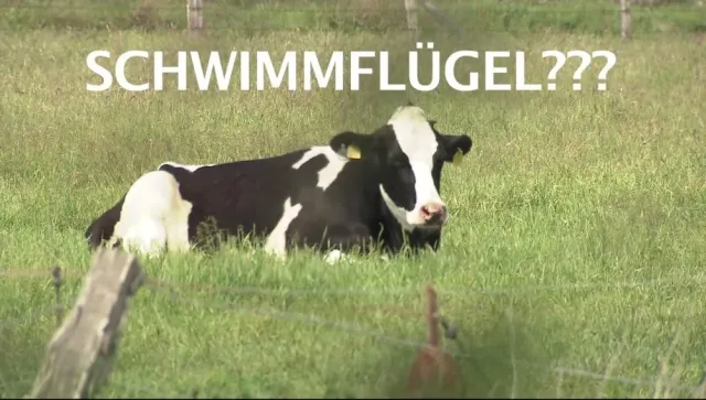 Bild: Wie verwundbar ist die Metropolregion Bremen Oldenburg in Zeiten des Klimawandels?