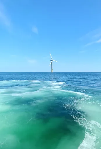 Bild: Wie Offshore-Windparks die Fischwelt positiv beeinflussen