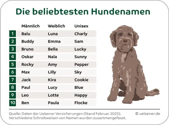 Luna, Balu und Pommes im Hundepark: Die beliebtesten und kreativsten Hundenamen Deutschlands Bild: Luna, Balu und Pommes im Hundepark: Die beliebtesten und kreativsten Hundenamen Deutschlands