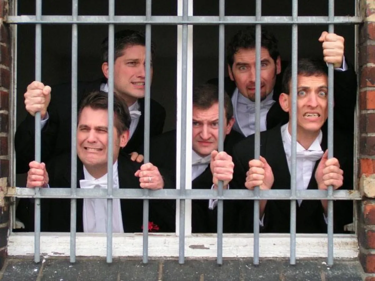 Das Vokalquintett Sweetheartsharks