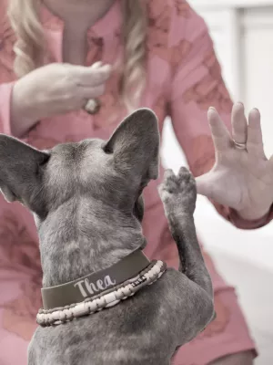 Bild: Neue Weichenstellung im alten Bahnhof von Wildeshausen