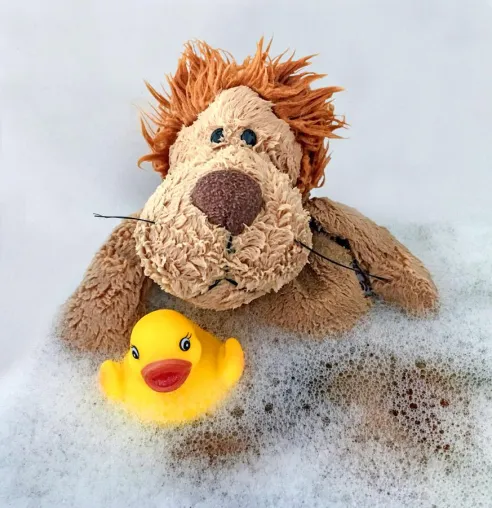 Bild: Fotos zum Schmunzeln im Fotoseminar „Fotografier’ Dein Kuscheltier“