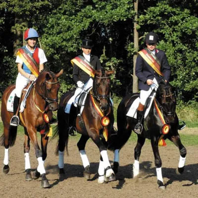 Bild: Vier Olympioniken bei Trakehner Hengstschau in Munster-Handorf